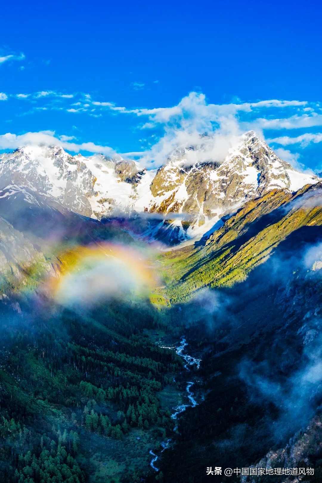 我国哪里盛产火龙果,全国最大的火龙果基地是哪里