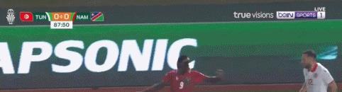 突尼斯纳米比亚比赛结果,突尼斯vs纳米比亚0比1