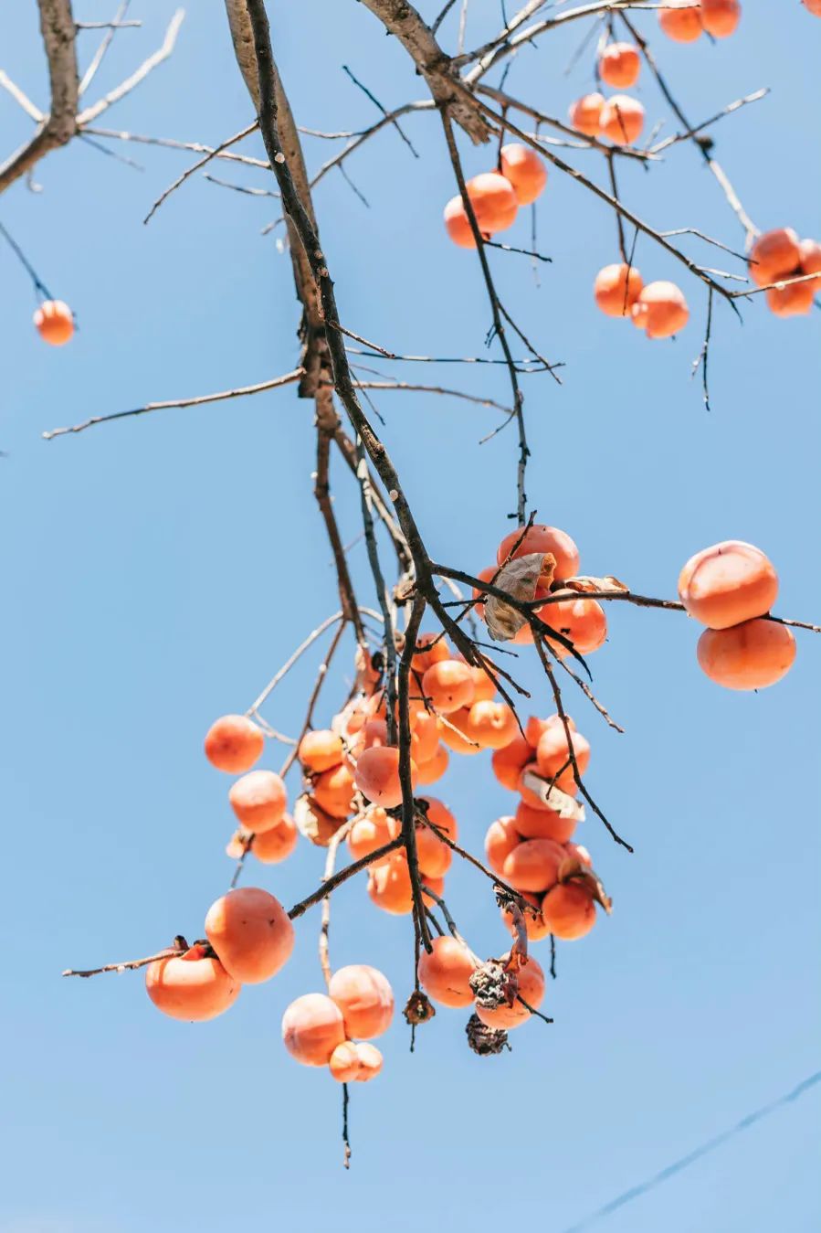 辣妹外套推荐秋季,欧美辣妹风上衣厚外套