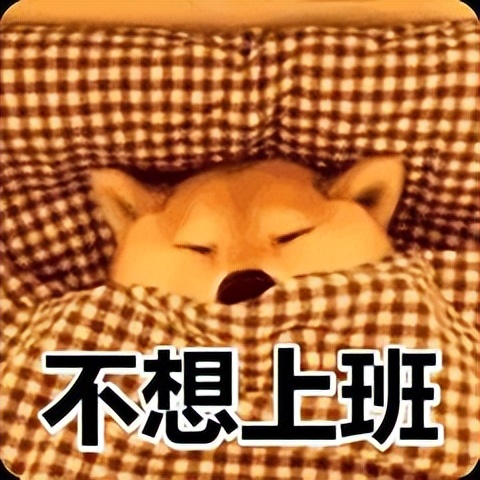 门兴对多特蒙德比分预测,门兴vs多特蒙德世界杯