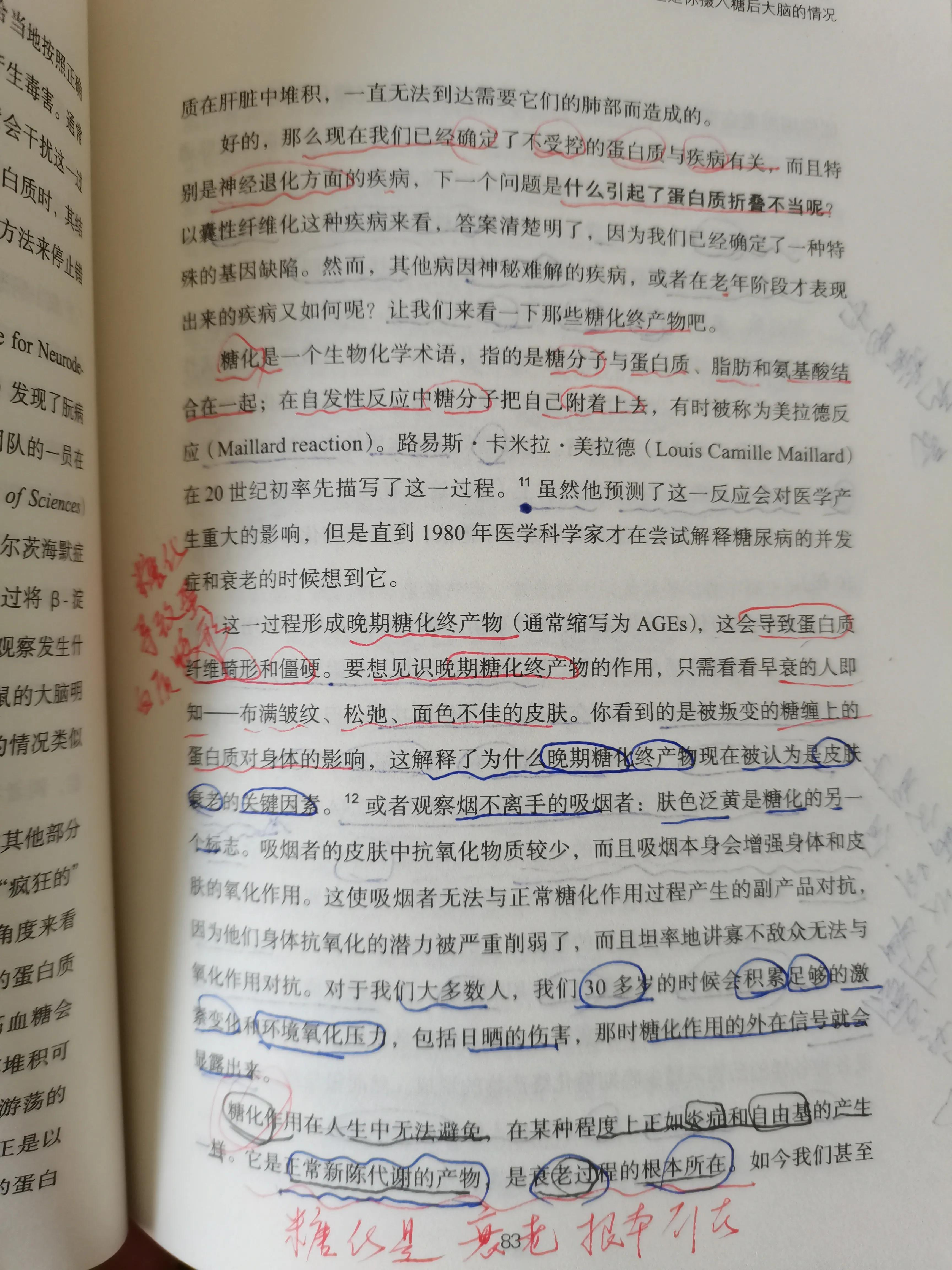 谷物大脑具备权威性吗,谷物大脑有人看过吗