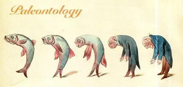 专家推测人类是从鱼进化而来的,科学家怎么证实人类由鱼演变而来