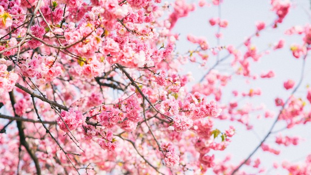 全国冬季最值得去旅游的10个地方,最适合去旅游的100个城市