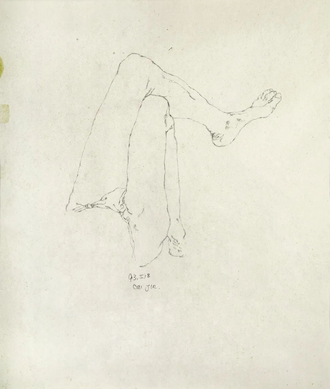 蔡锦被遗忘的十年|艺术栗子