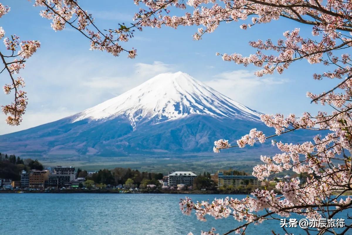 日本富士山樱花季旅游,日本富士山樱花风景