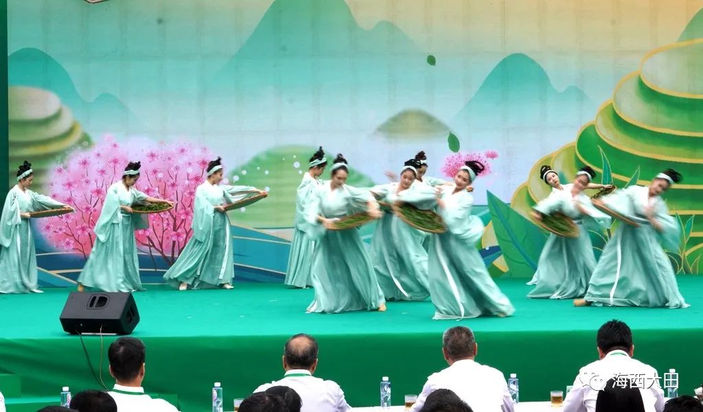 上海浦东大田美人茶迎来开茶季,海峡两岸美人茶大会福建大田举行