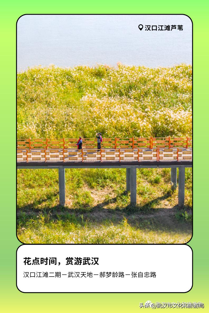 来武汉的攻略,2024武汉攻略路线