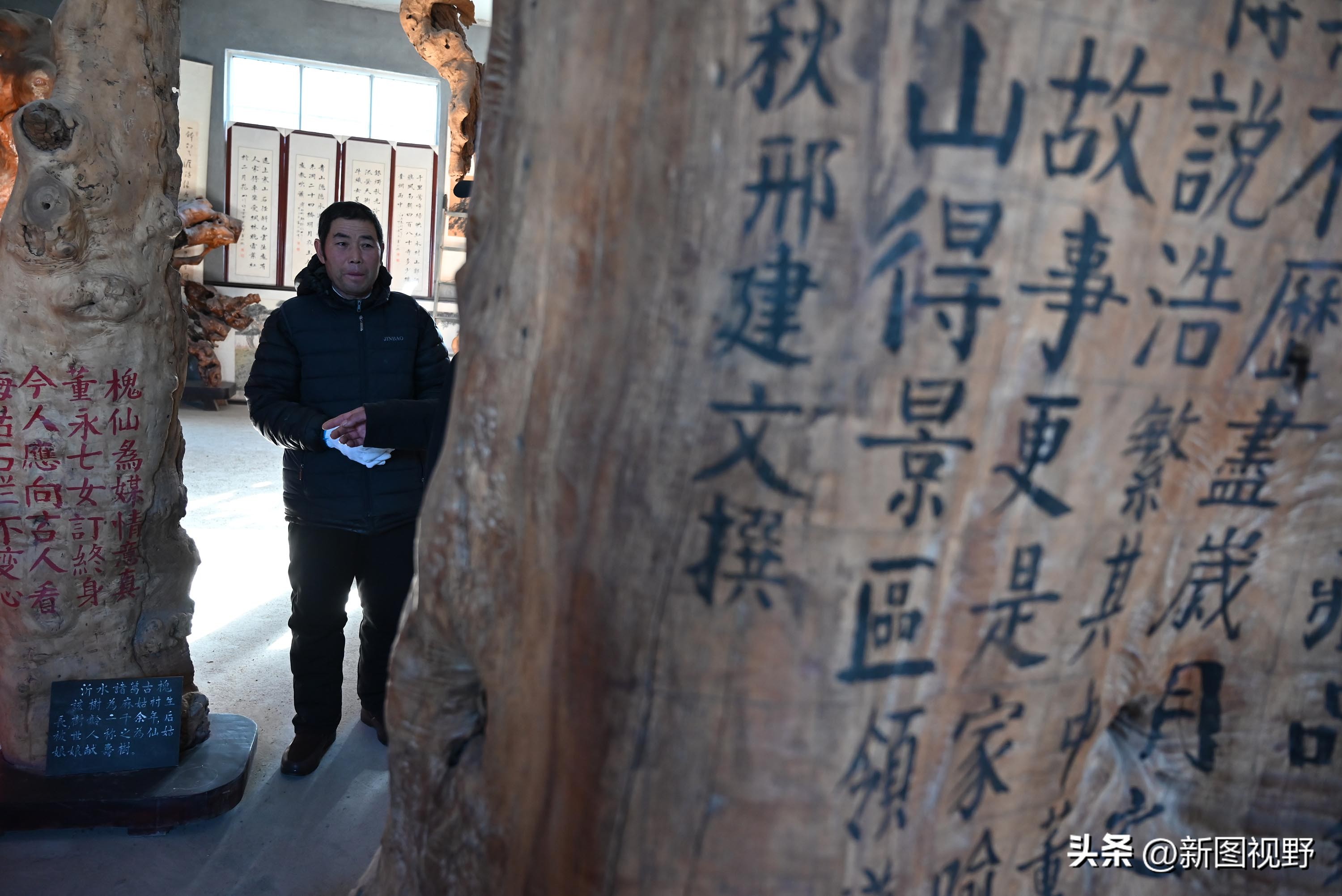 55岁农民，花60万买了一堆古树，每天做着发财梦，睡到自然醒