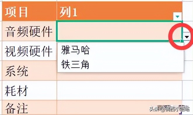 wps怎么制作一二级下拉菜单,wps如何制作下拉菜单多选