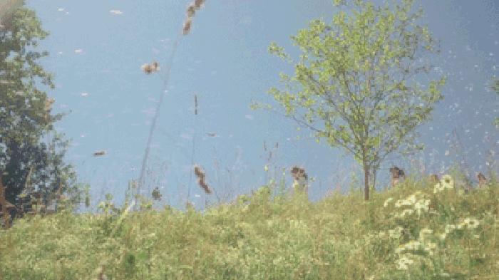 超高频英语1000句,英语高一必背109个口诀