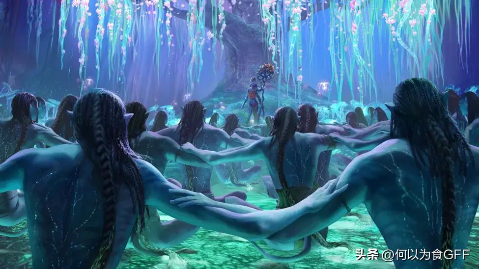 蘑菇发展史,蘑菇历史剪辑