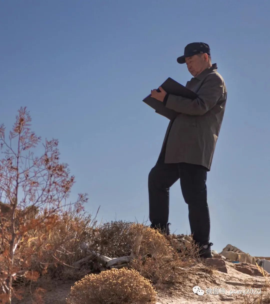 平川野麻滩岩画,东北专门画野草的画家