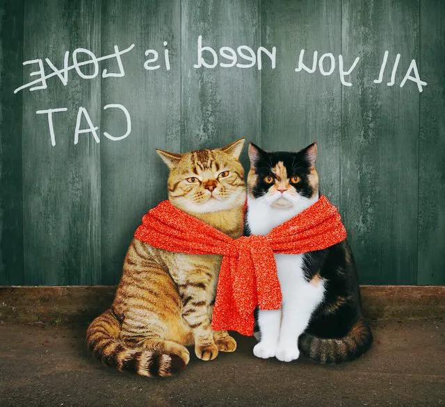 是什么让别人爱上你六因数之第一篇：第一印象