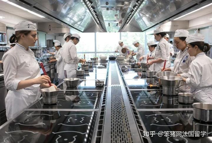 娉曞浗钃濆甫鐑归オ瀛︽牎,娉曞浗钃濆甫鍘ㄨ壓瀛﹂櫌璇剧▼