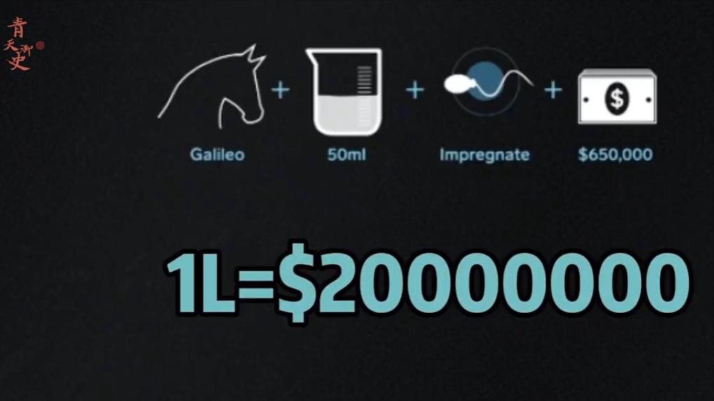 盘点十种神奇动物的价格,盘点五种有巨毒的生物