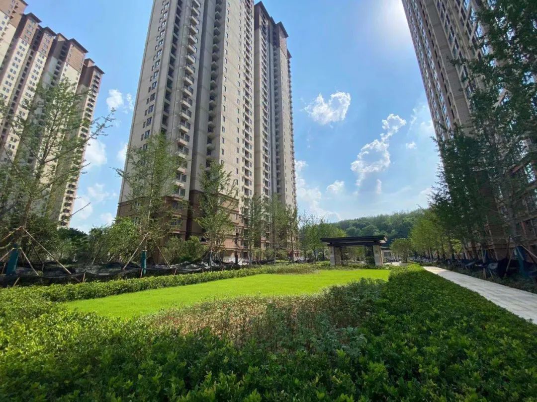 拿捏主城“品质”改善！高科凭什么？