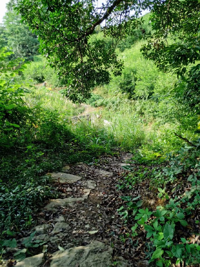 郴乐古道之水头江宜乐古道--广东省乐昌市庆云镇