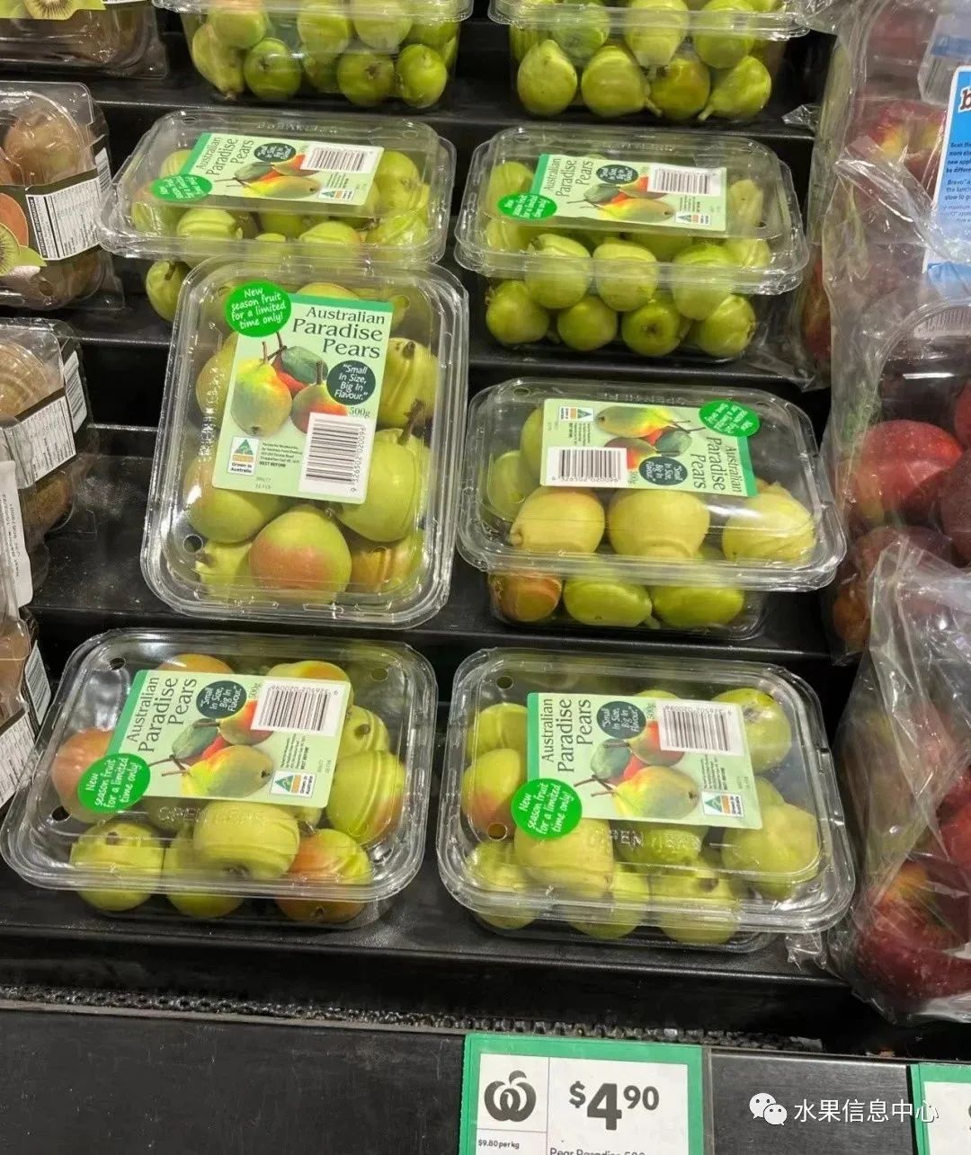 盘点那些迷你的东西,盘点不同样子的水果