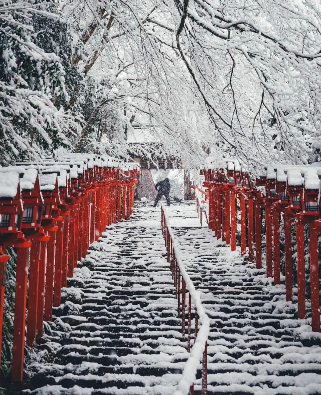 日本御守可以买吗,代购日本御守可以购买吗