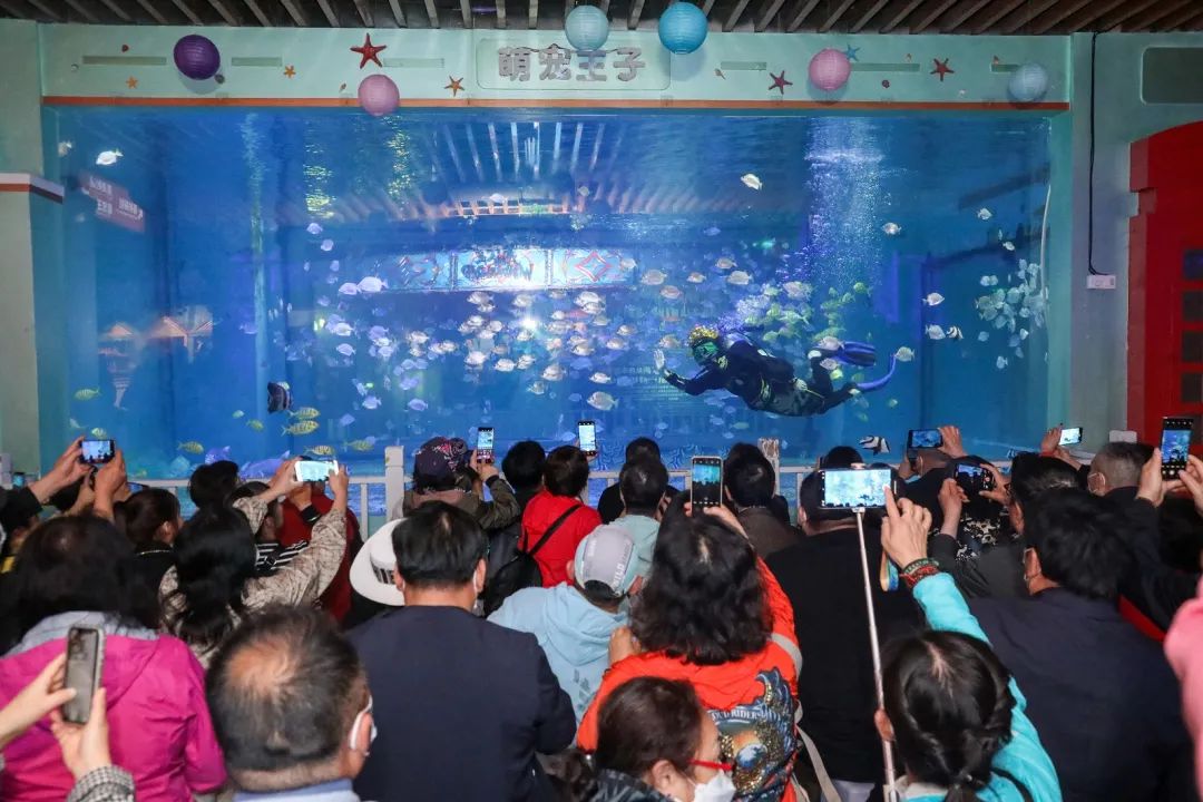 这种精彩来夜色江北体验吧