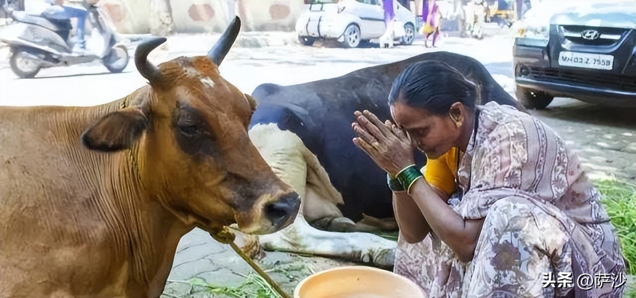 印度人鲍斯 (印度人钱德拉·鲍斯)