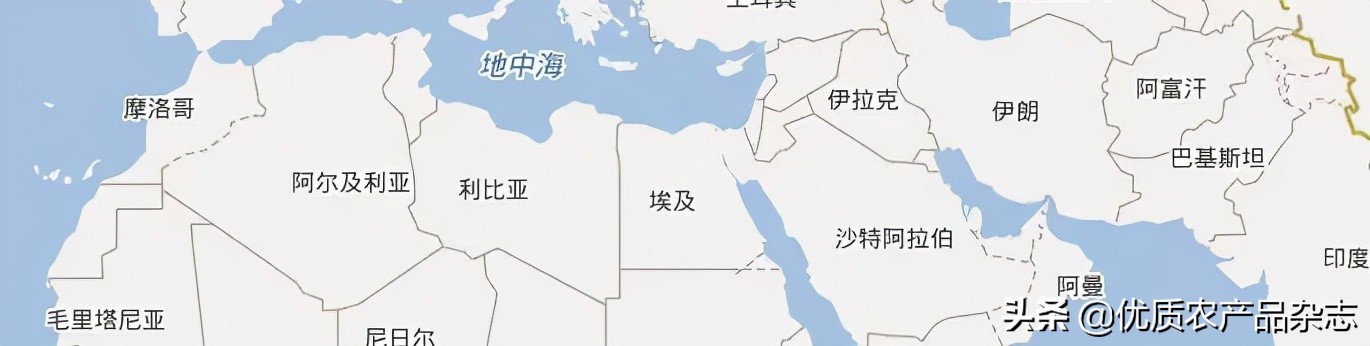 被称为绿色金子的特色蔬菜,被欧洲人称为绿色金子