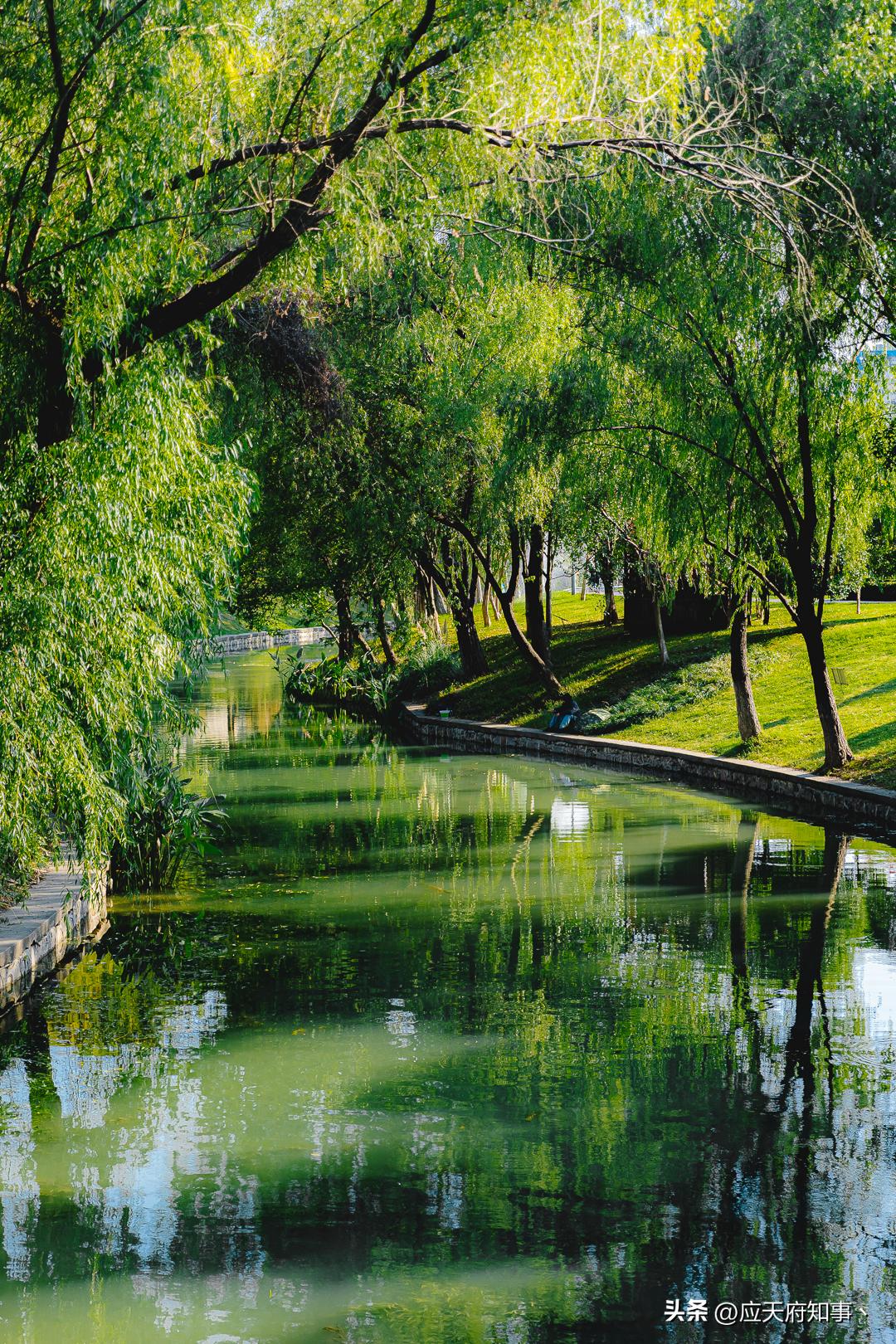 南京再回来是绿码吗,南京站到察哈尔路公交车