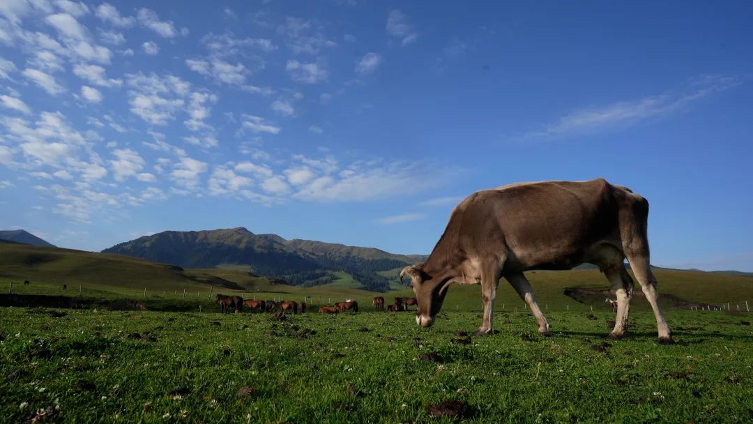 春天每个孩子都该补钙吗,春天补钙最好时机