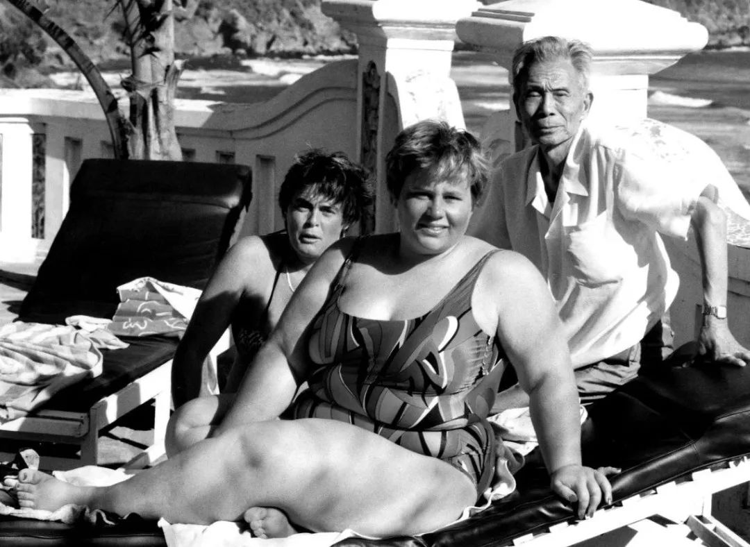 画家刘海粟作品欣赏,吴冠中云南写生记完整版