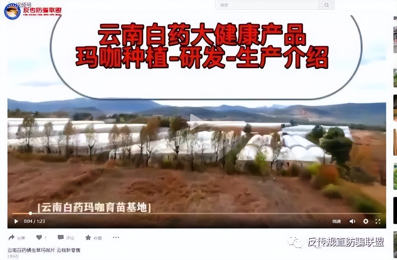 云南白药云咖,云南白药新零售