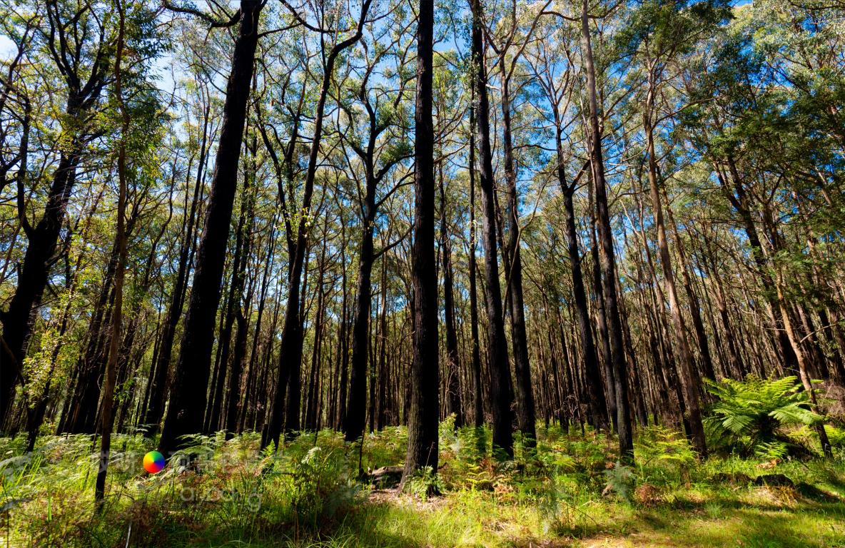 旅行家的眼神，看到不一样的人文澳洲（四之一）