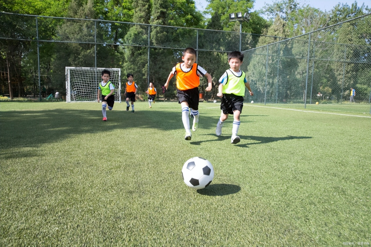 足球比赛规则讲解儿童,小小足球赛主要内容