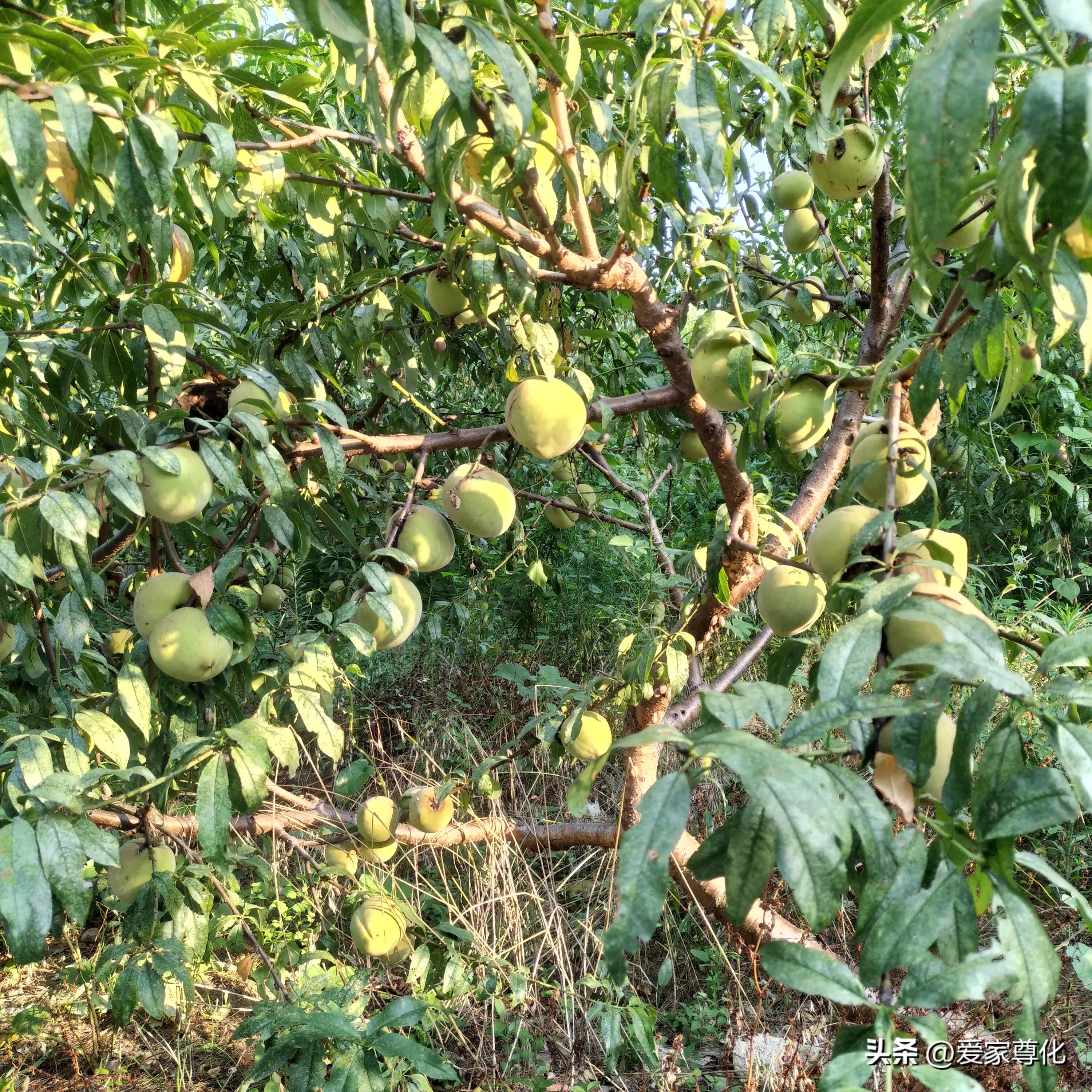 记录我的2023年旅行,记录2023年我的旅行生活