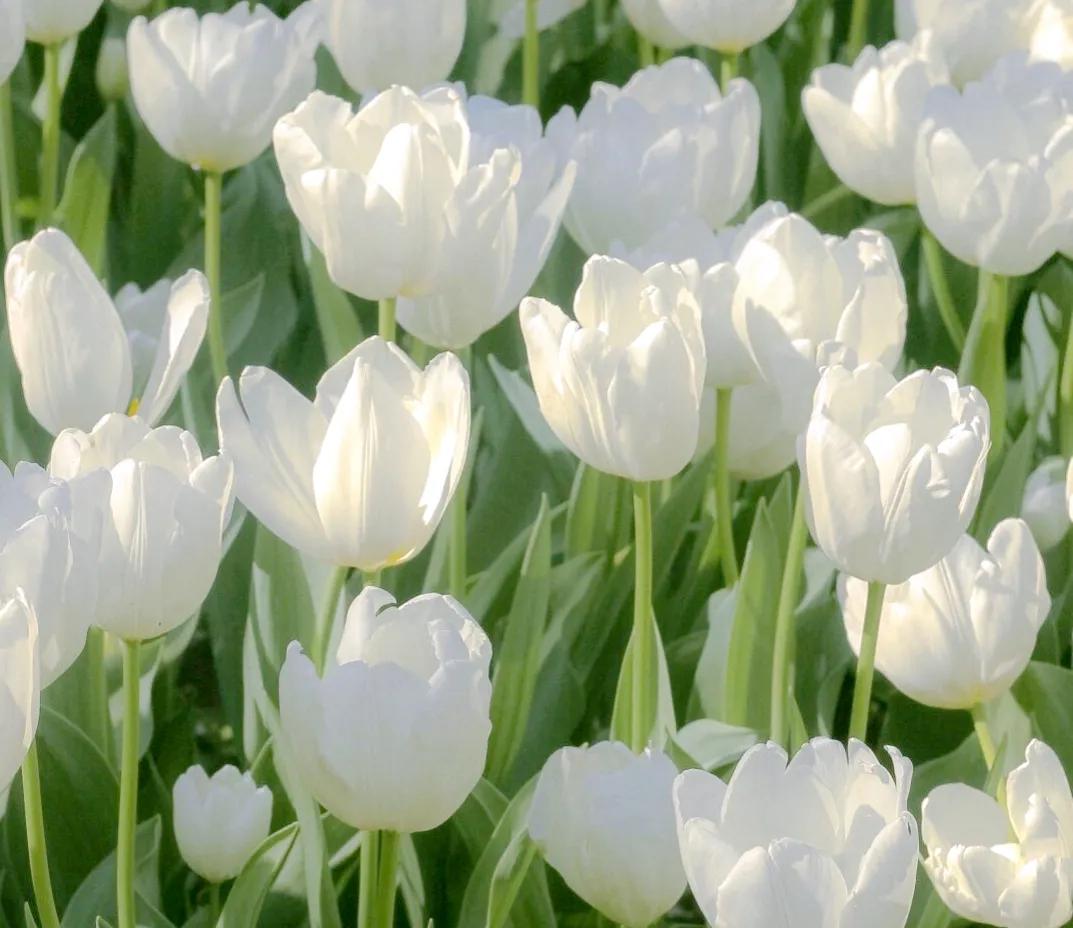 谁又是谁的救赎文案,救赎自己的文案