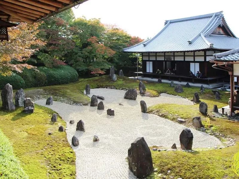 日本枯山水景观,日本枯山水中的树是什么树