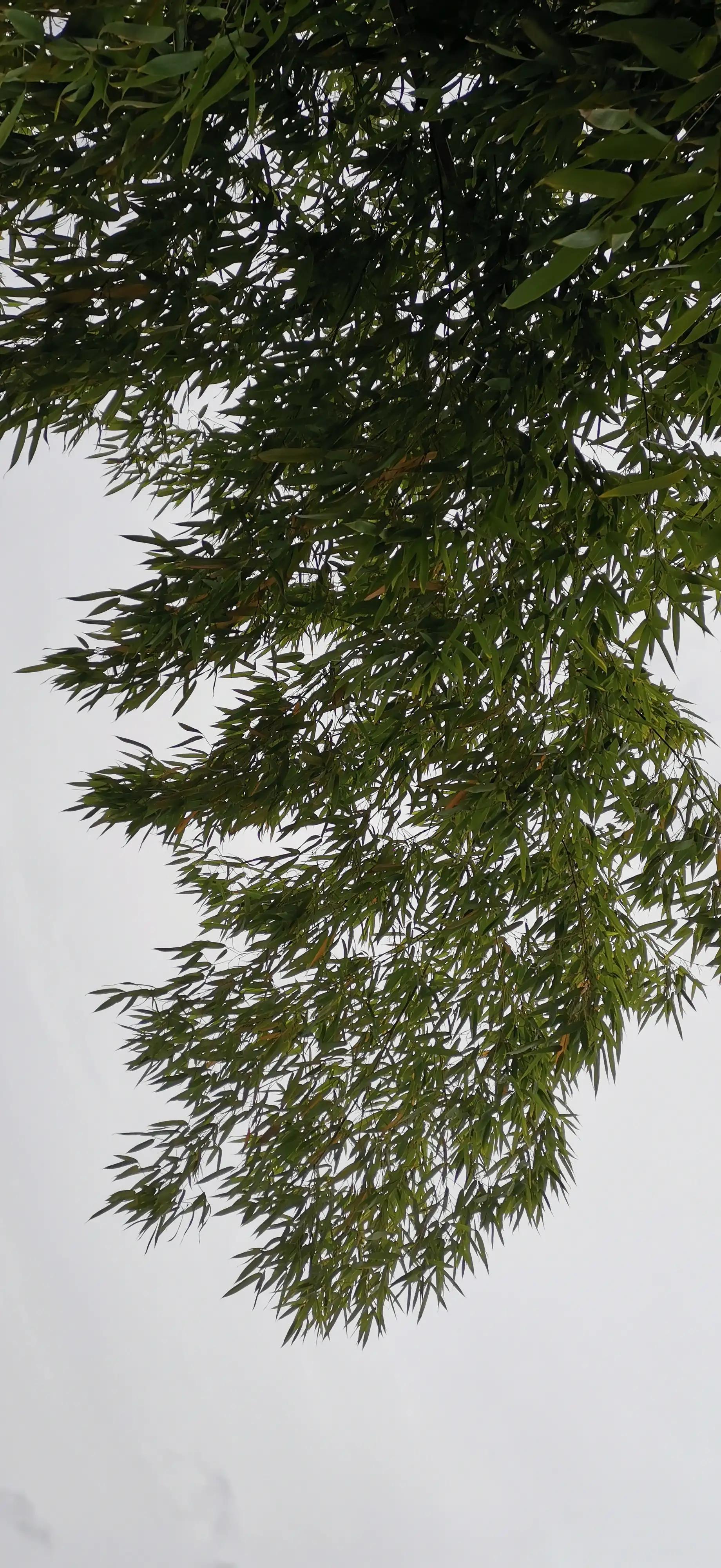 幽默笑话搞笑段子图片大全高清,幽默笑话大全经典搞笑段子下载