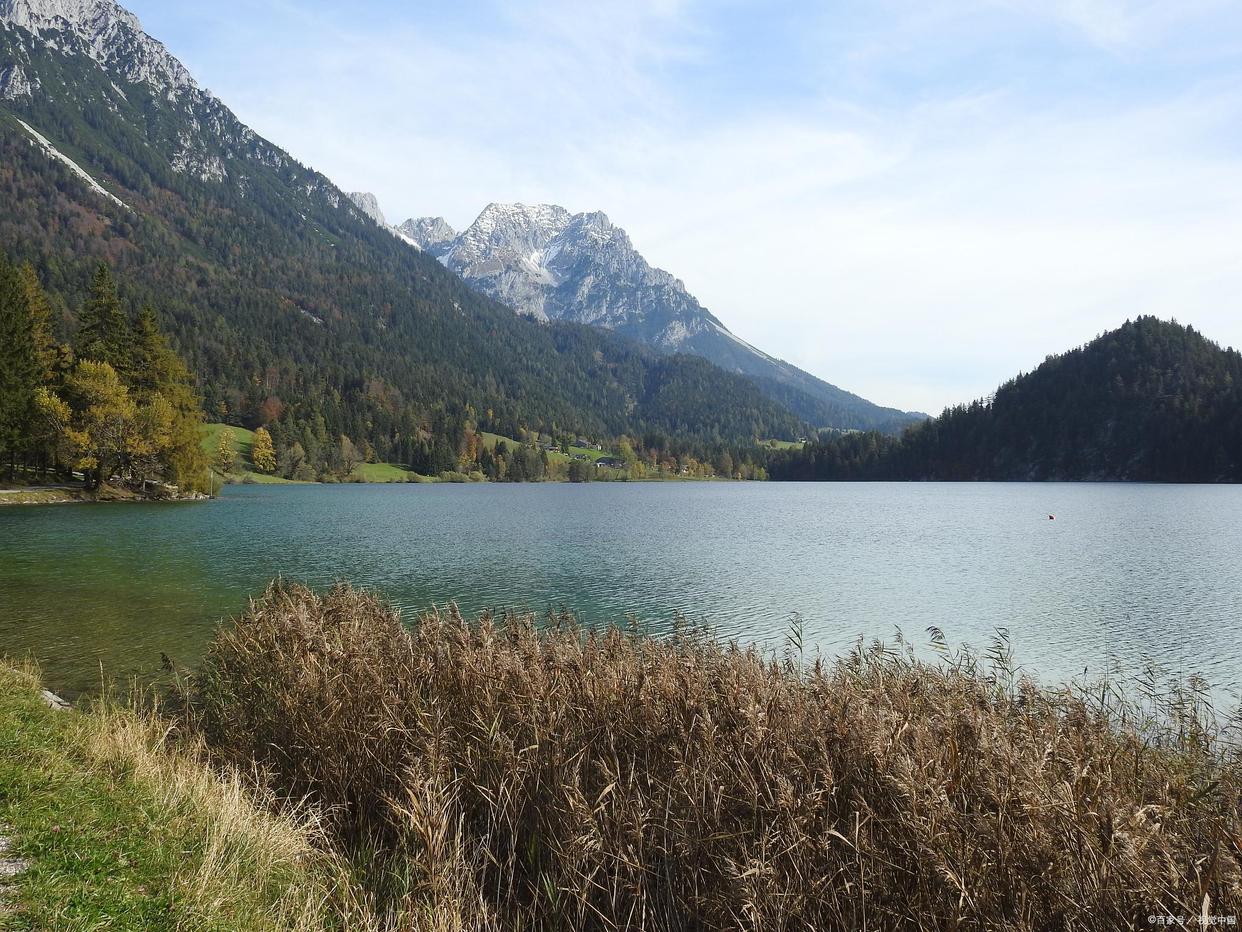 驾龄不够三年能跑什么网约车高德,不考网约车从业资格证能跑滴滴吗
