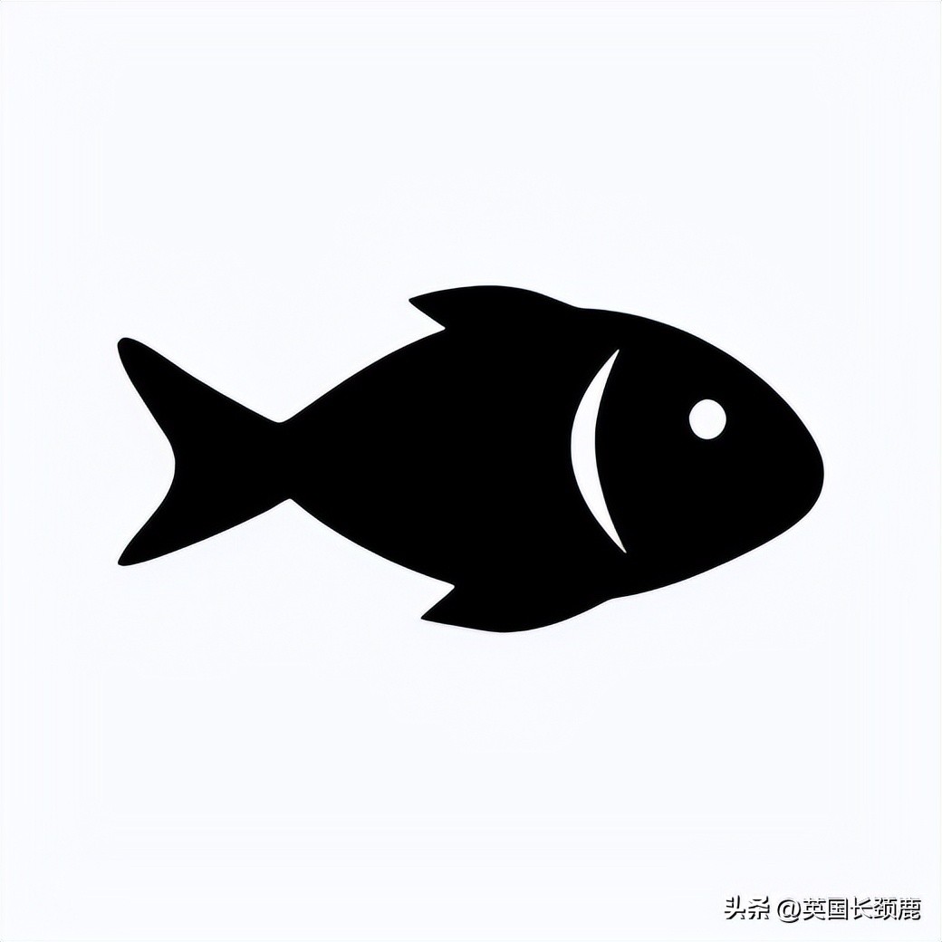 在英国怎么在网上买东西,英国海鲜刺身哪里买