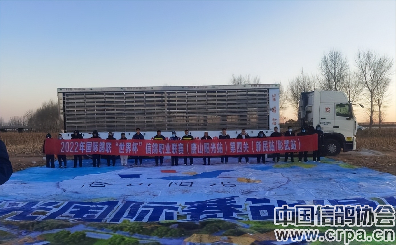 高分速高归巢！“世界杯”唐山阳光站第四关500公里比赛圆满收官