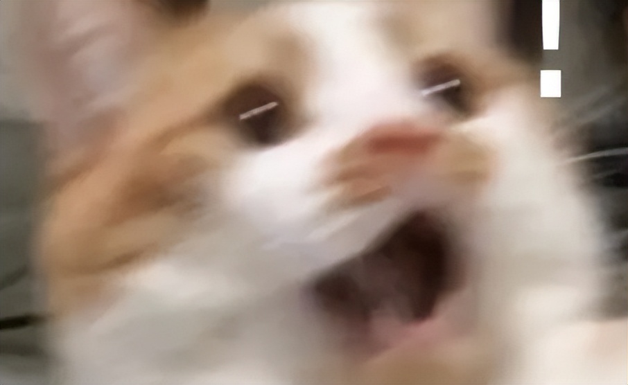 揭秘网络交友诈骗,外国人交友诈骗套路