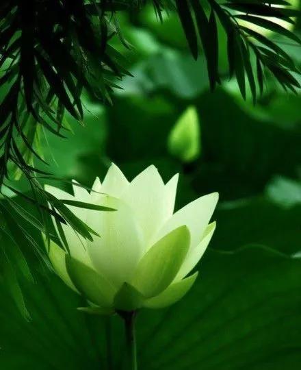 春树的人生格言书籍,人生书籍里的经典语录大全