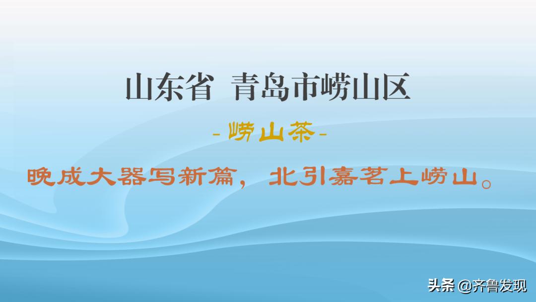 百县·百茶·百人|青岛市崂山区-崂山茶-匡新