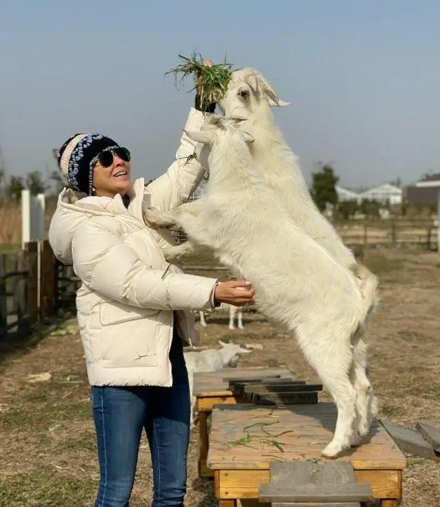54岁刘嘉玲保持身材的小秘诀,刘嘉玲不化妆前后对比照