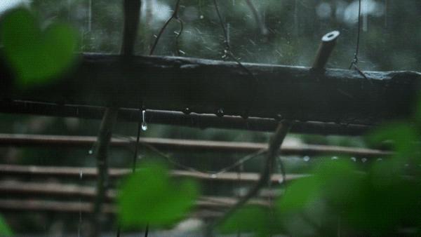 冬天湿衣服怎么快速变干,怎么不用吹风机让潮湿的衣服变干