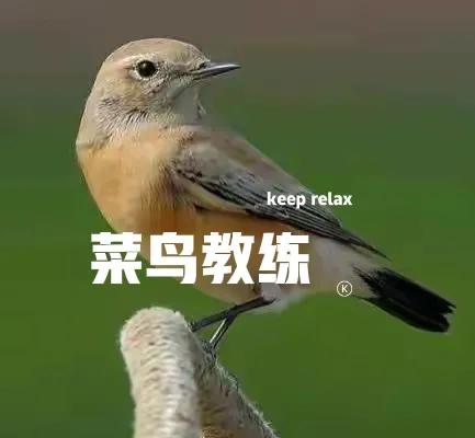 鑿滈笩鏁欑粌,鑿滈笩鏁欑粌甯﹂槦