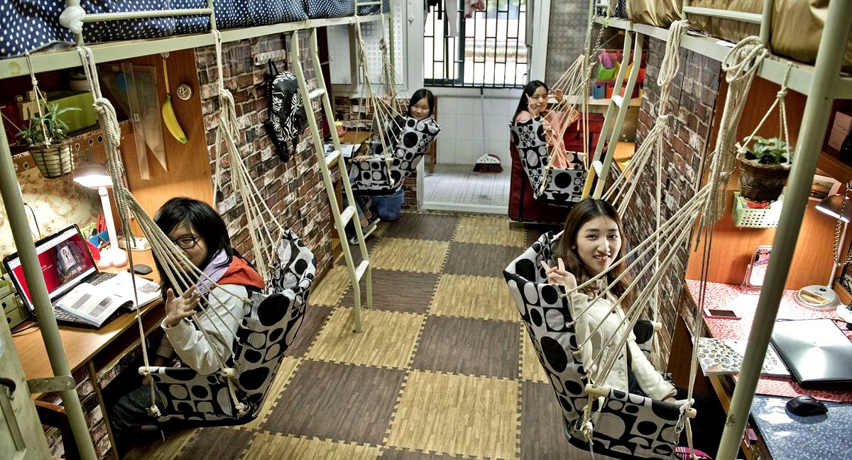 “卧铺一样的大学宿舍”,硬着头皮选了中铺,都是学习不好惹的祸