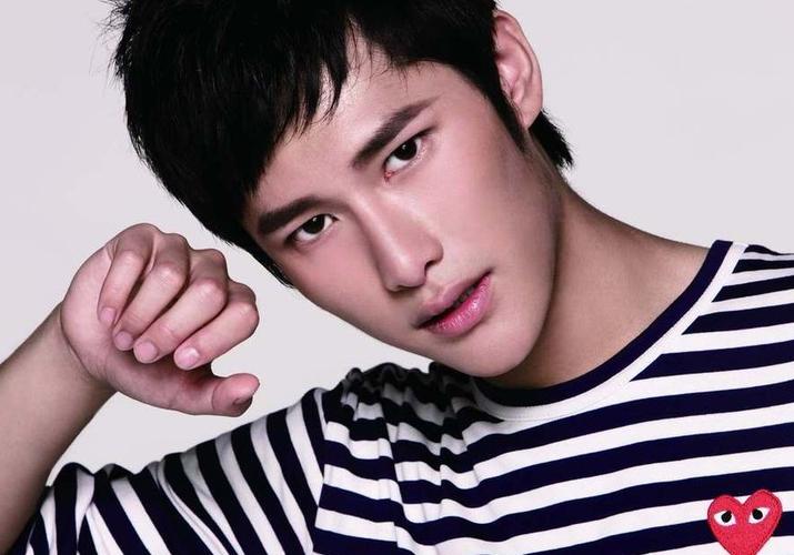 从查无此人到一鸣惊人,从大红大紫到无人提及的男明星