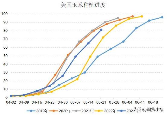 玉米市场本周行情及后市分析,本周玉米市场行情震荡调整分析
