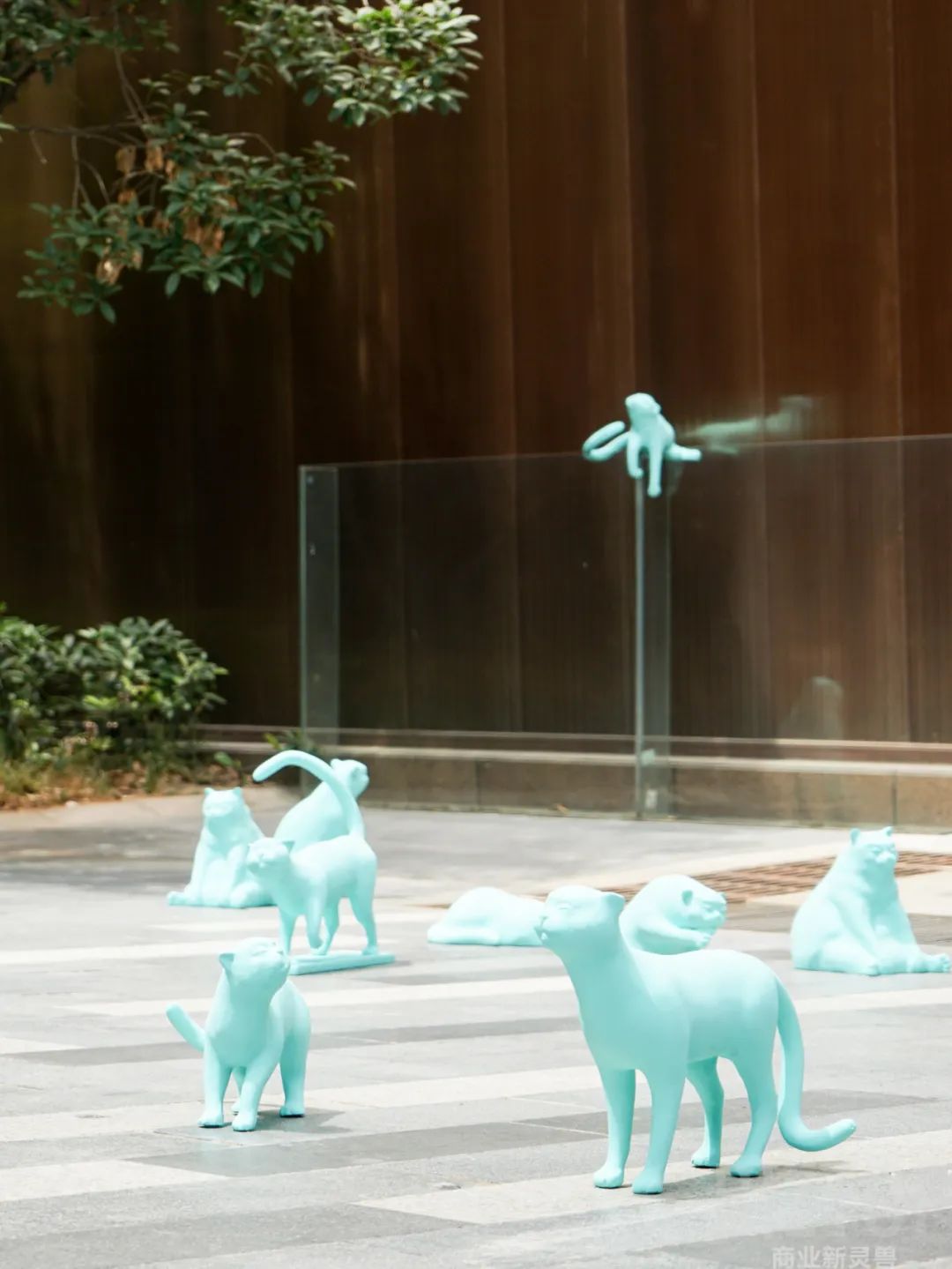 西安美院老城根 (西安老城根美院)