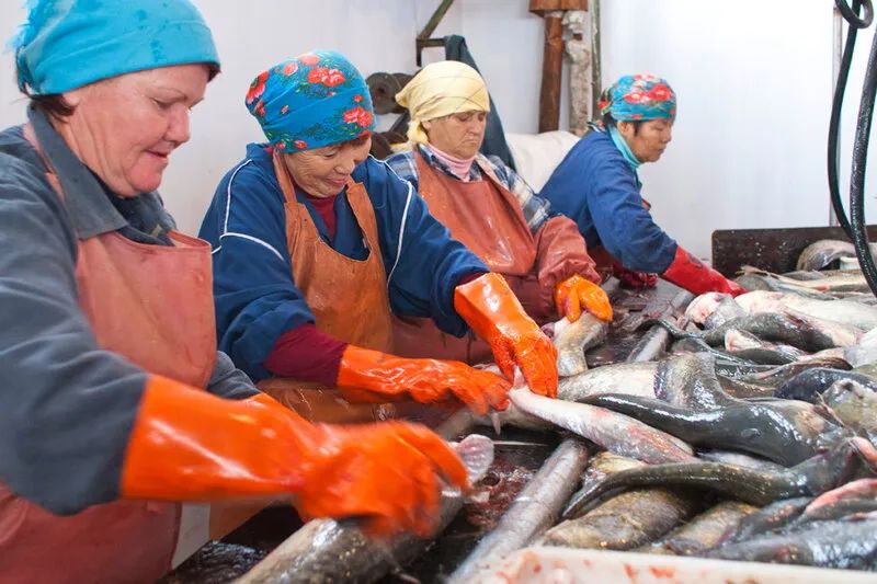 俄罗斯远东地区水产,俄罗斯远东水产加工厂